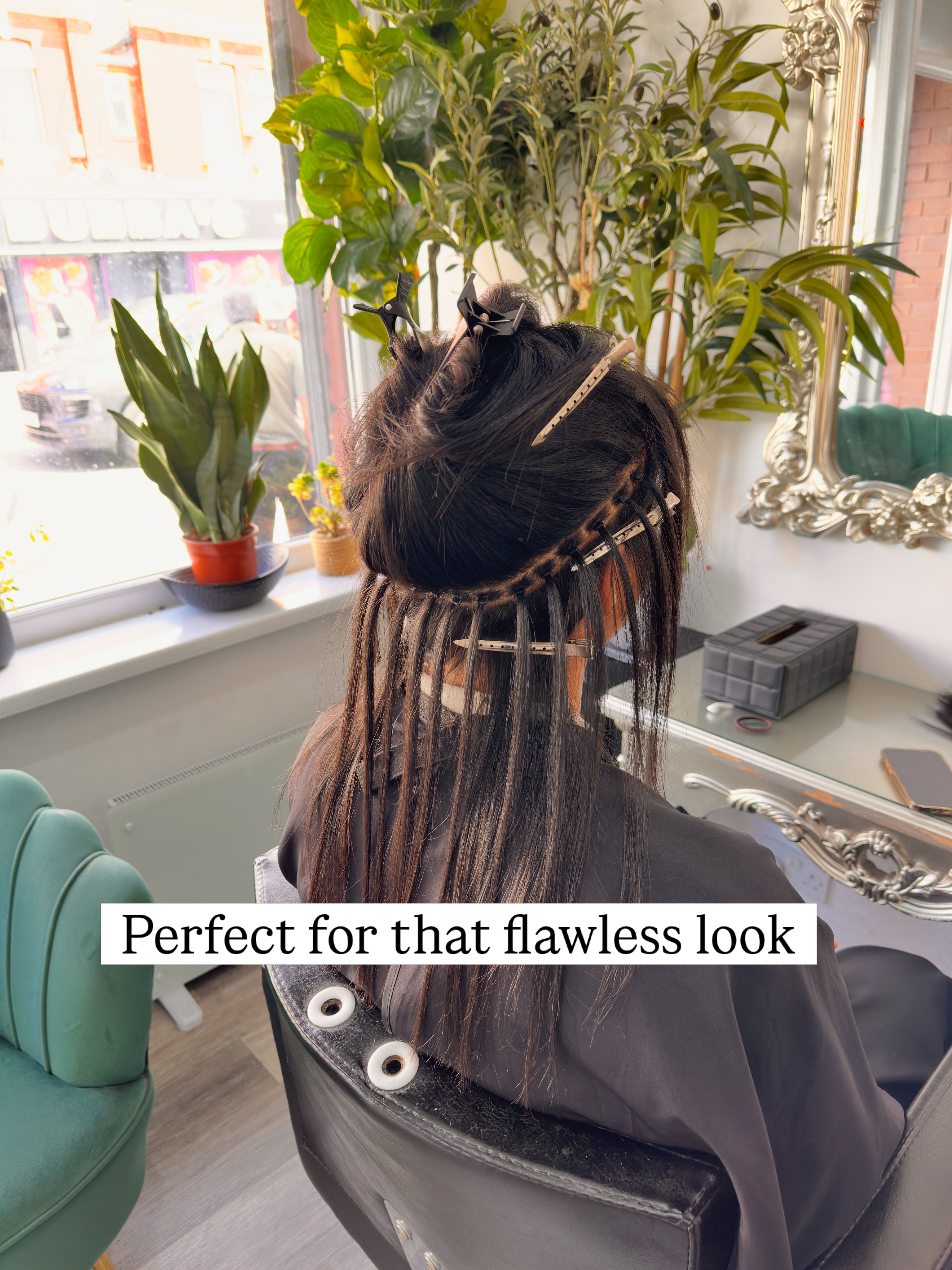 Healthy natural afro hair, shaped and defined